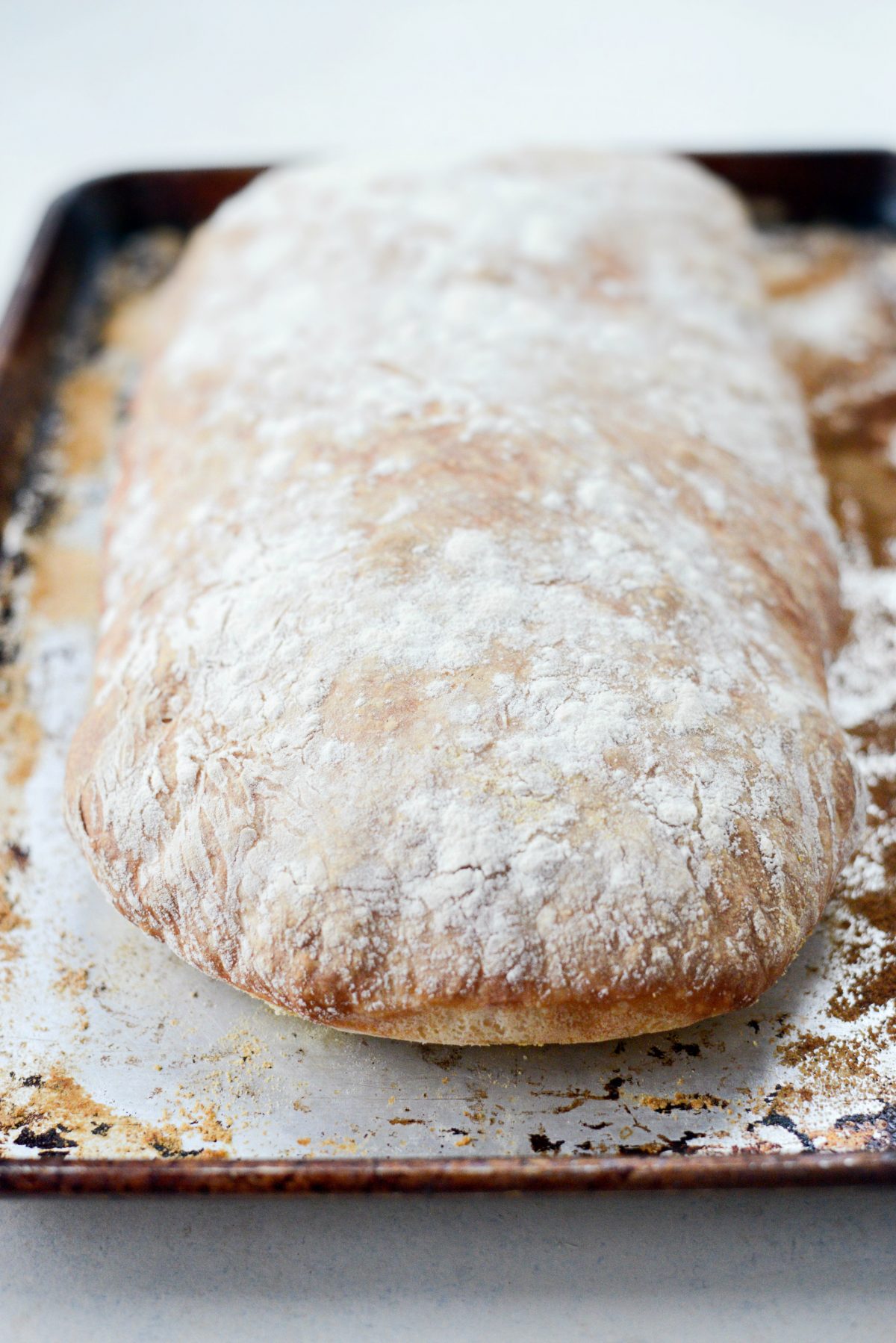 baked Homemade No-Knead Ciabatta Bread