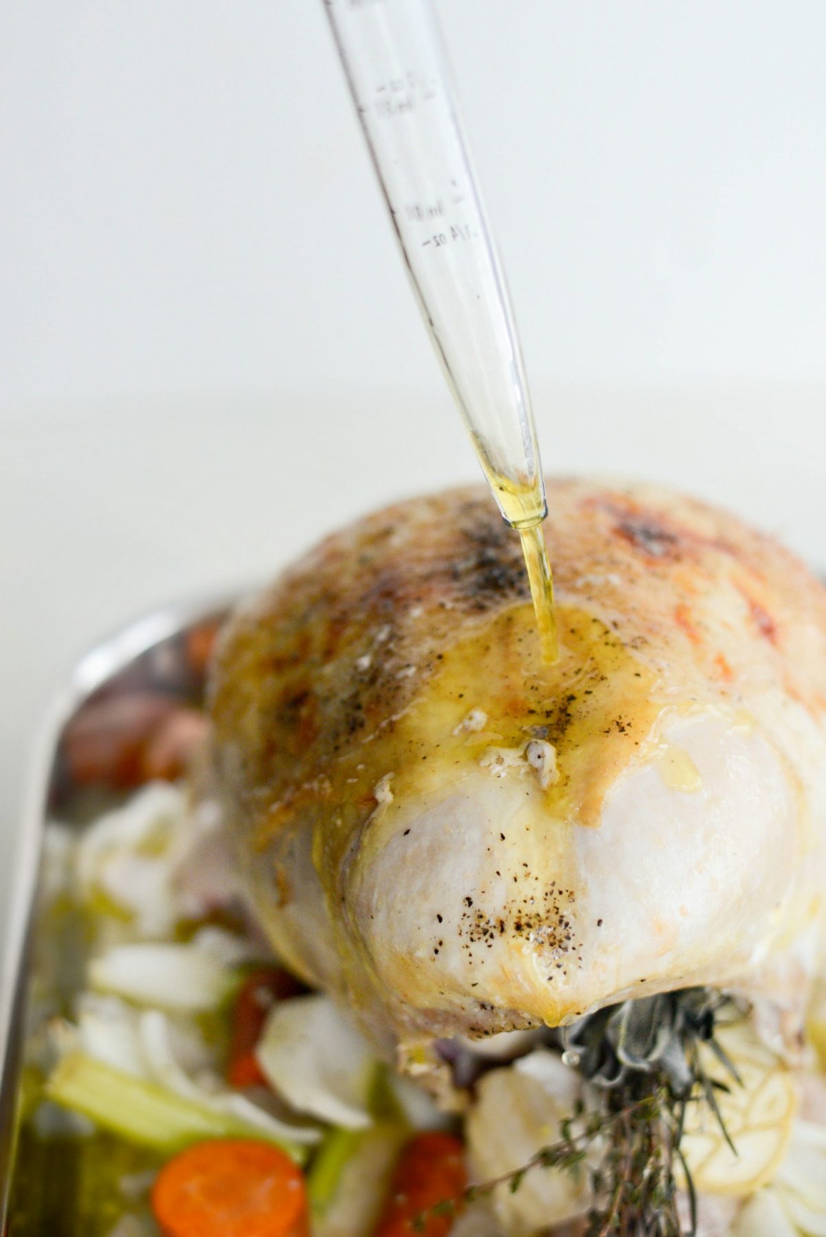 basting turkey with pan juices