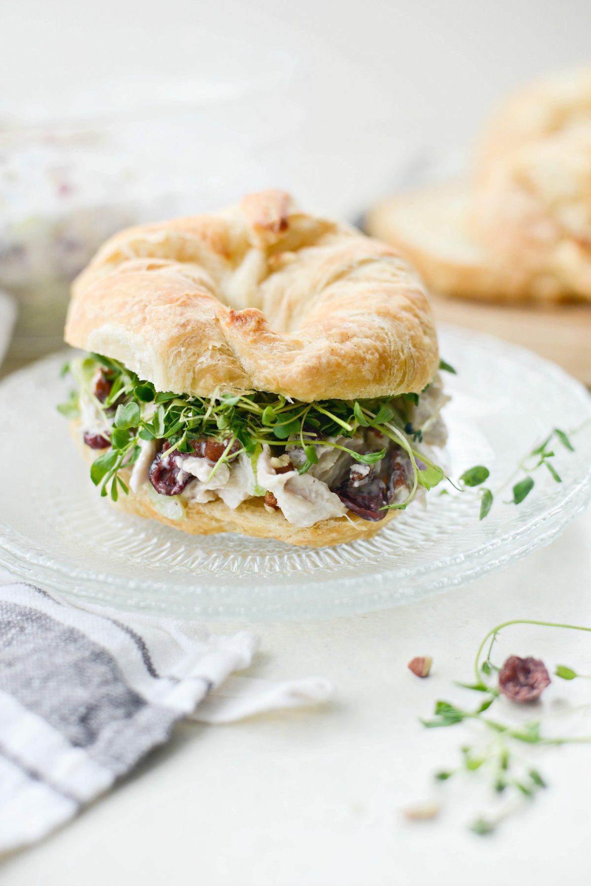 Roasted Turkey Cranberry Salad with Greek Yogurt Dressing with micro greens