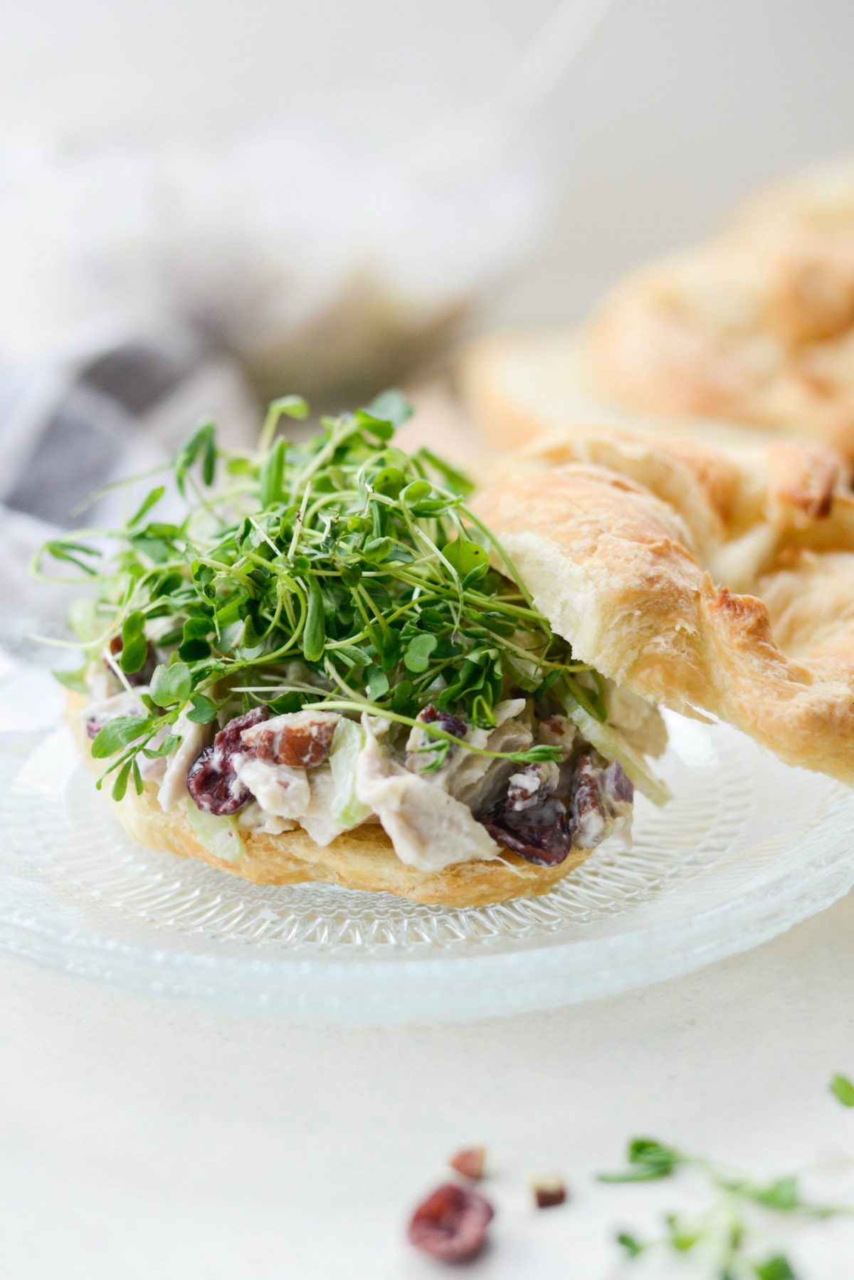 Roasted Turkey and Cranberry Salad with Greek Yogurt Dressing