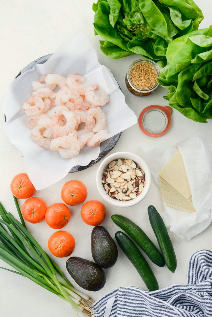 ingredients for Grilled Asian Shrimp Salad with Crispy Wontons