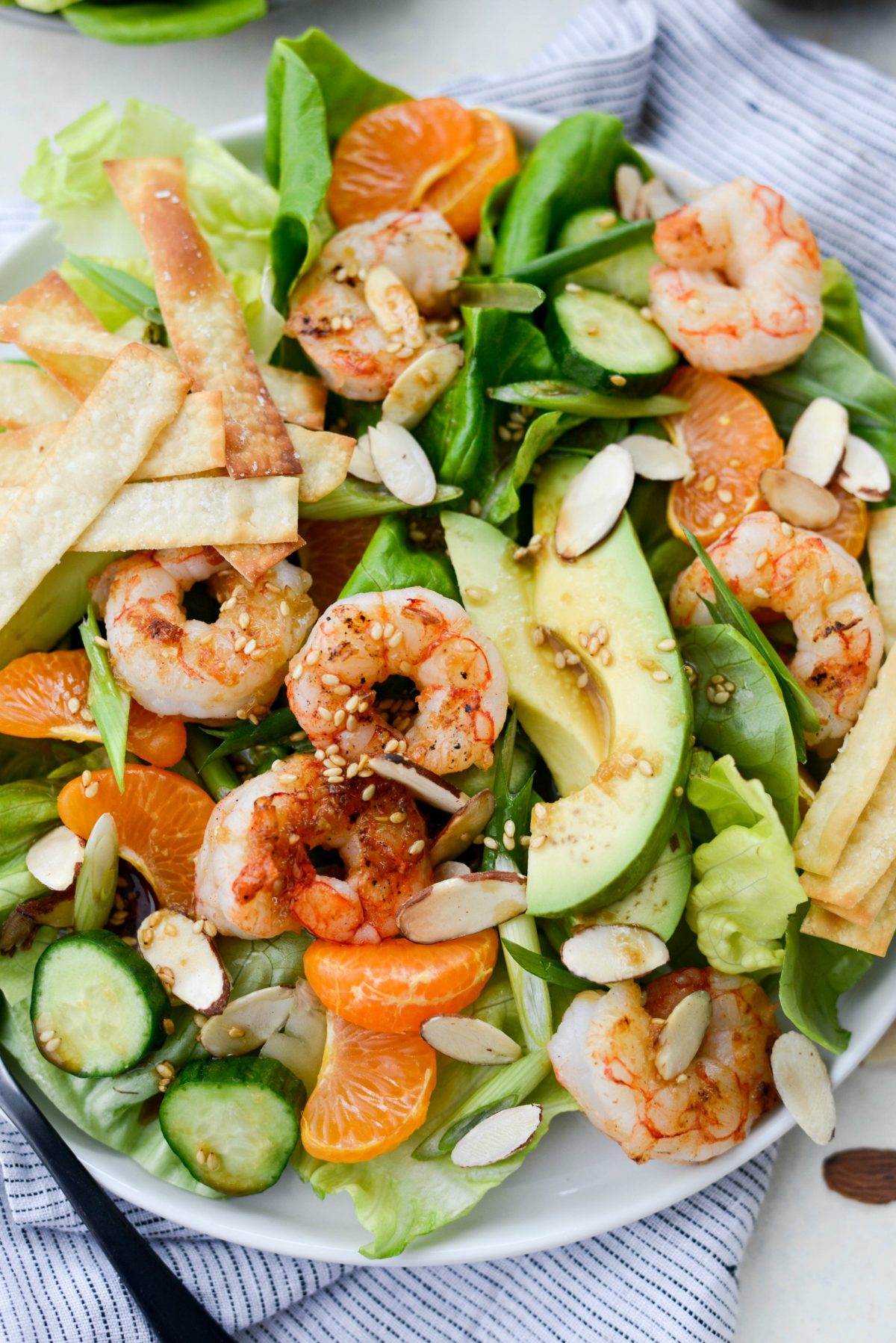 Grilled Asian Shrimp Salad with Crispy Wontons