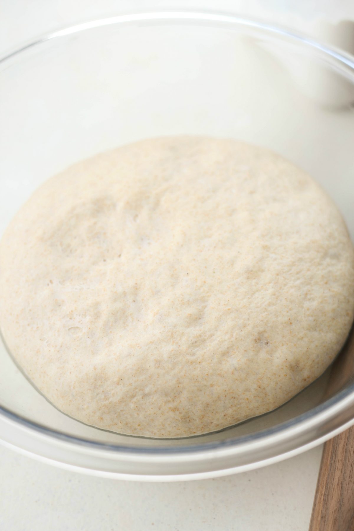 whole wheat pizza dough