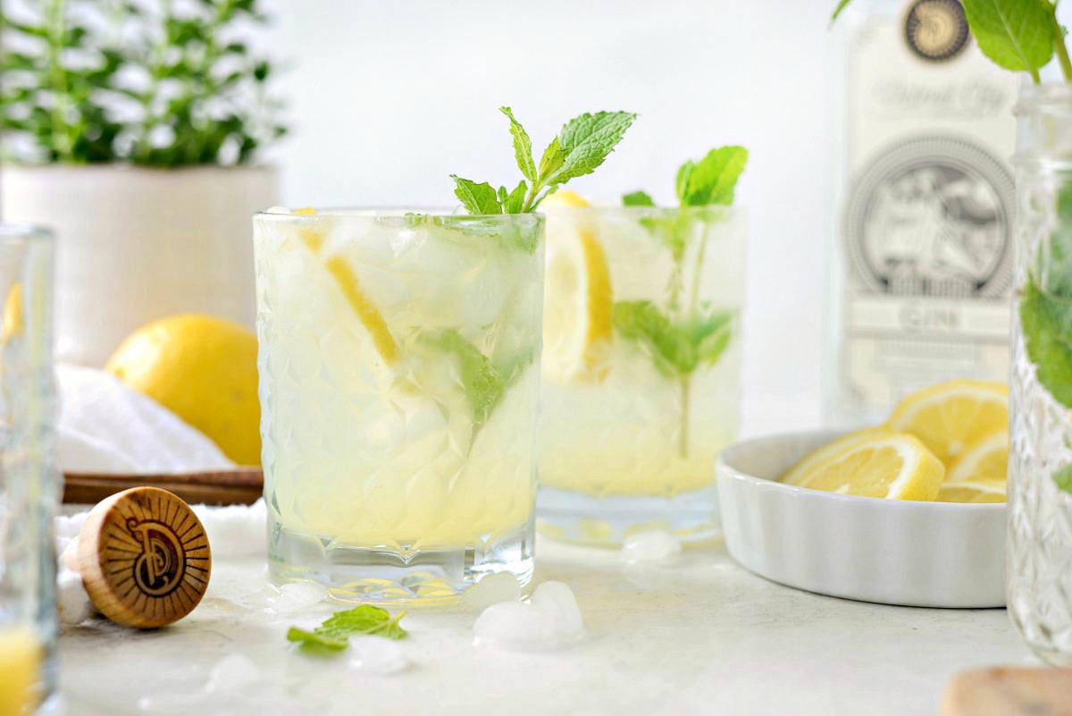 Lemon Gin Fizz-image