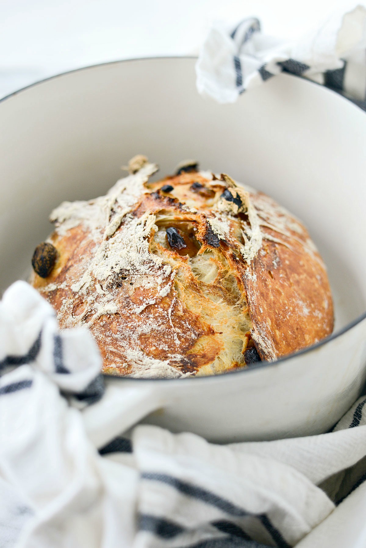 NoKnead Cinnamon Raisin Bread Simply Scratch