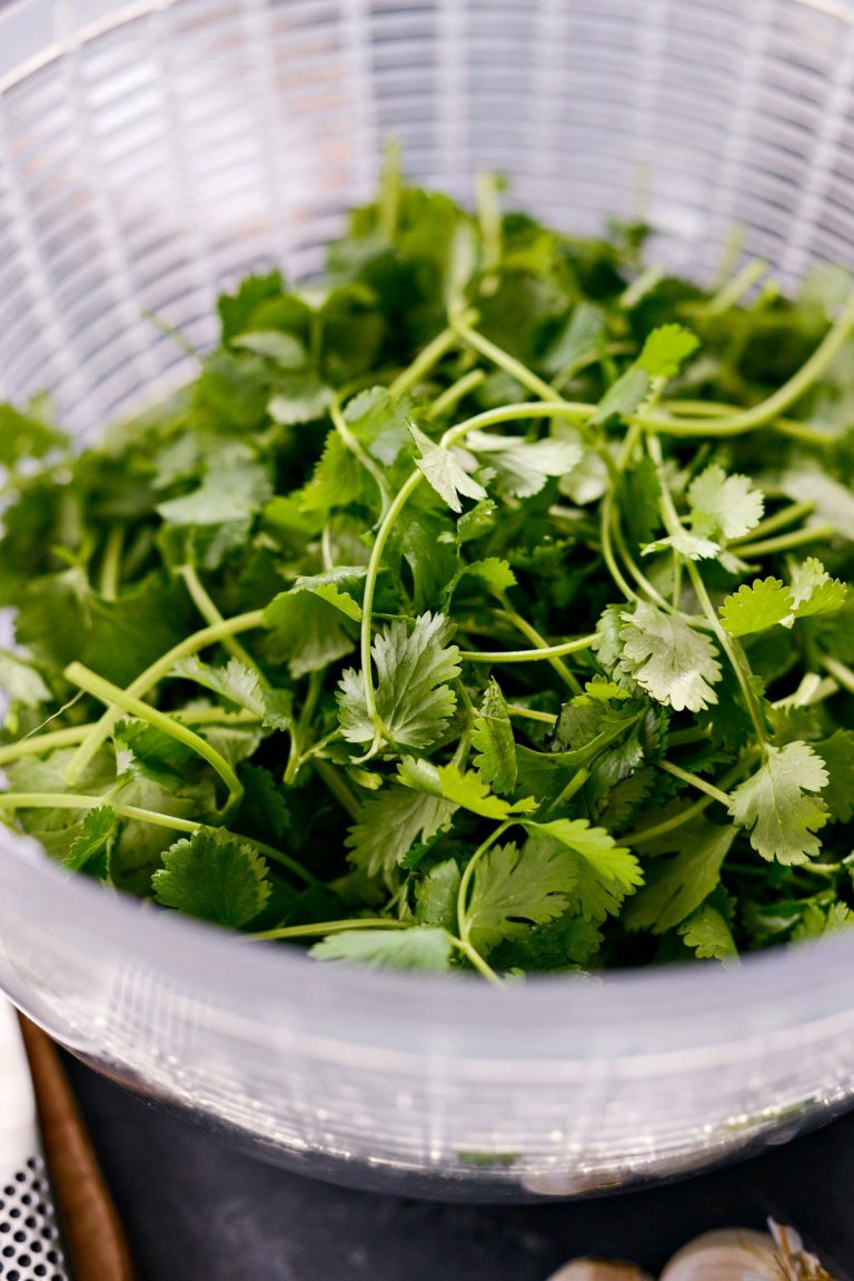 Easy Homemade Cilantro Pesto Simply Scratch