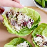 Greek Yogurt Chicken Salad with Grapes and Pecans