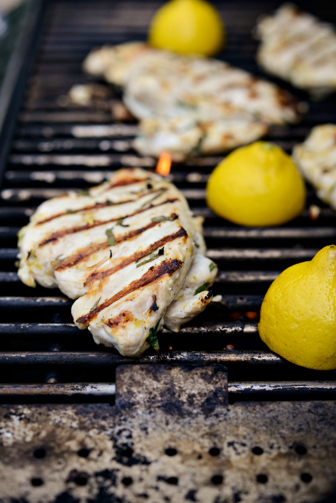 Grilled Lemon Basil Chicken Simply Scratch