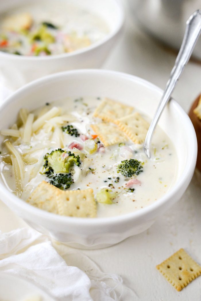 Broccoli Ham and Swiss Soup.