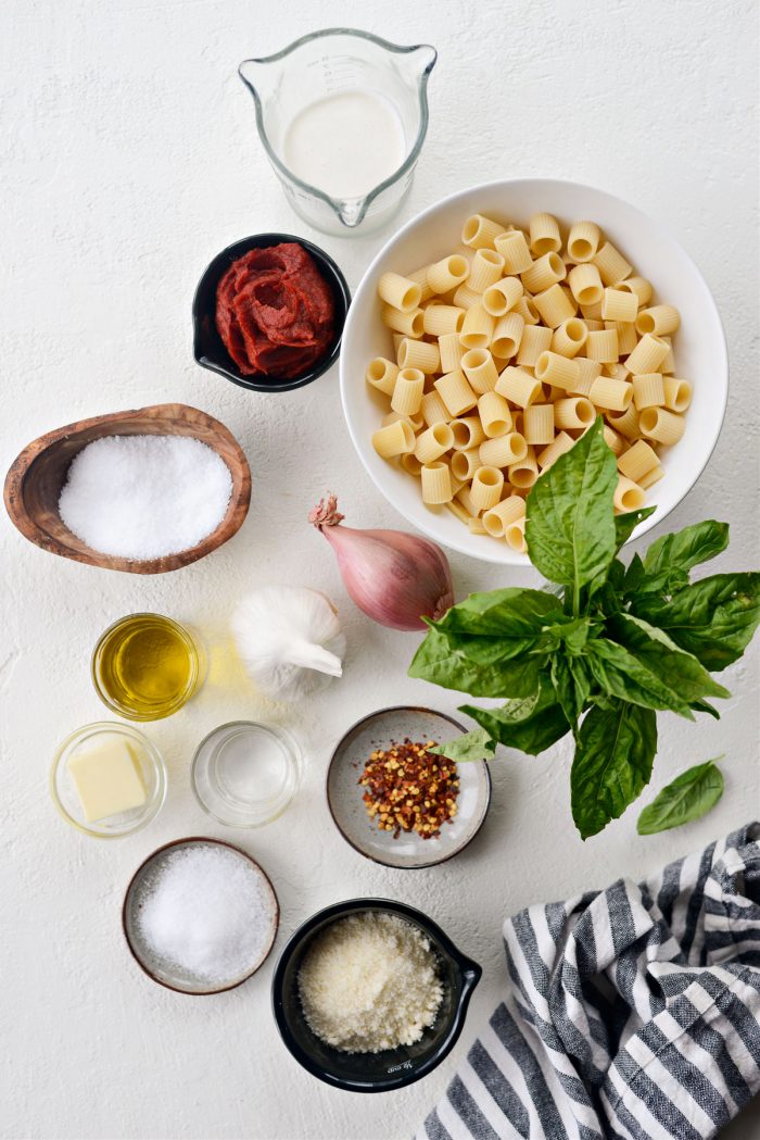 Ingredients for Spicy Garlic Pasta alla Vodka