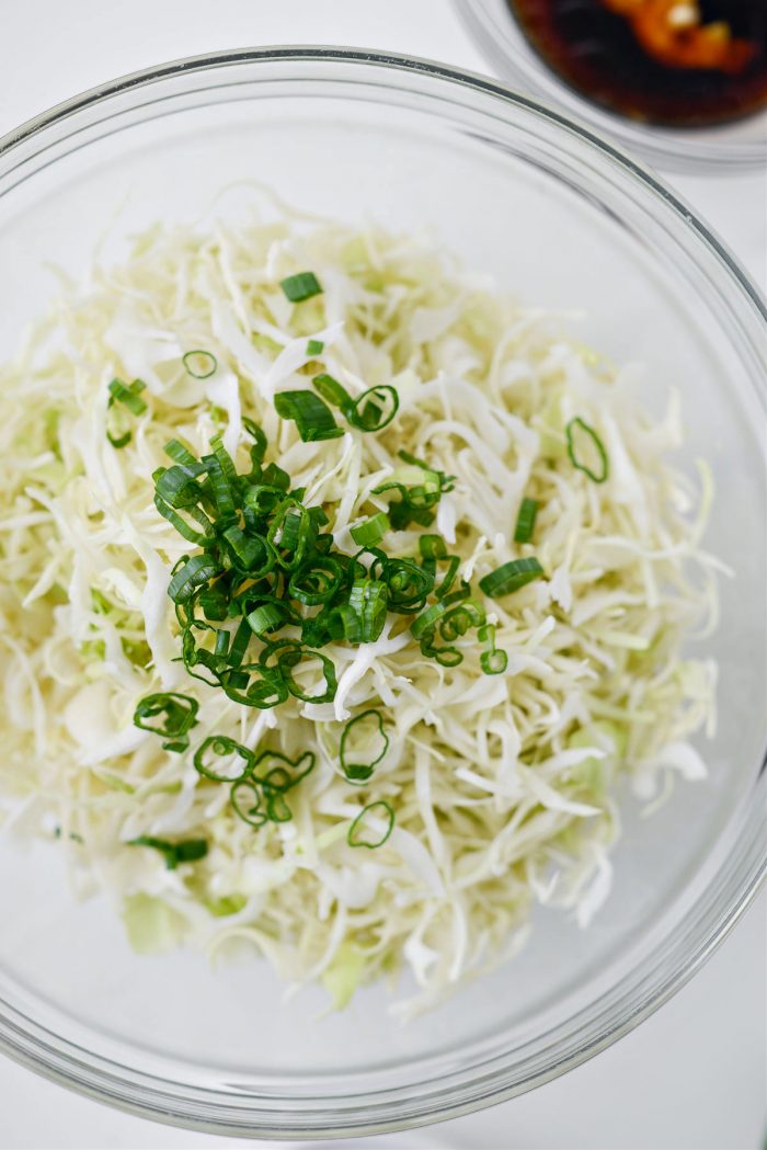 cabbage and green onion