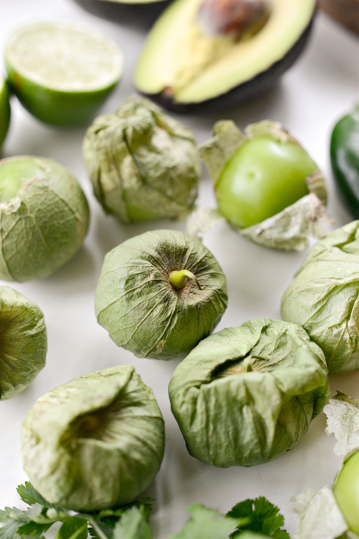 Tomatillo Avocado Salsa Recipe Simply Scratch
