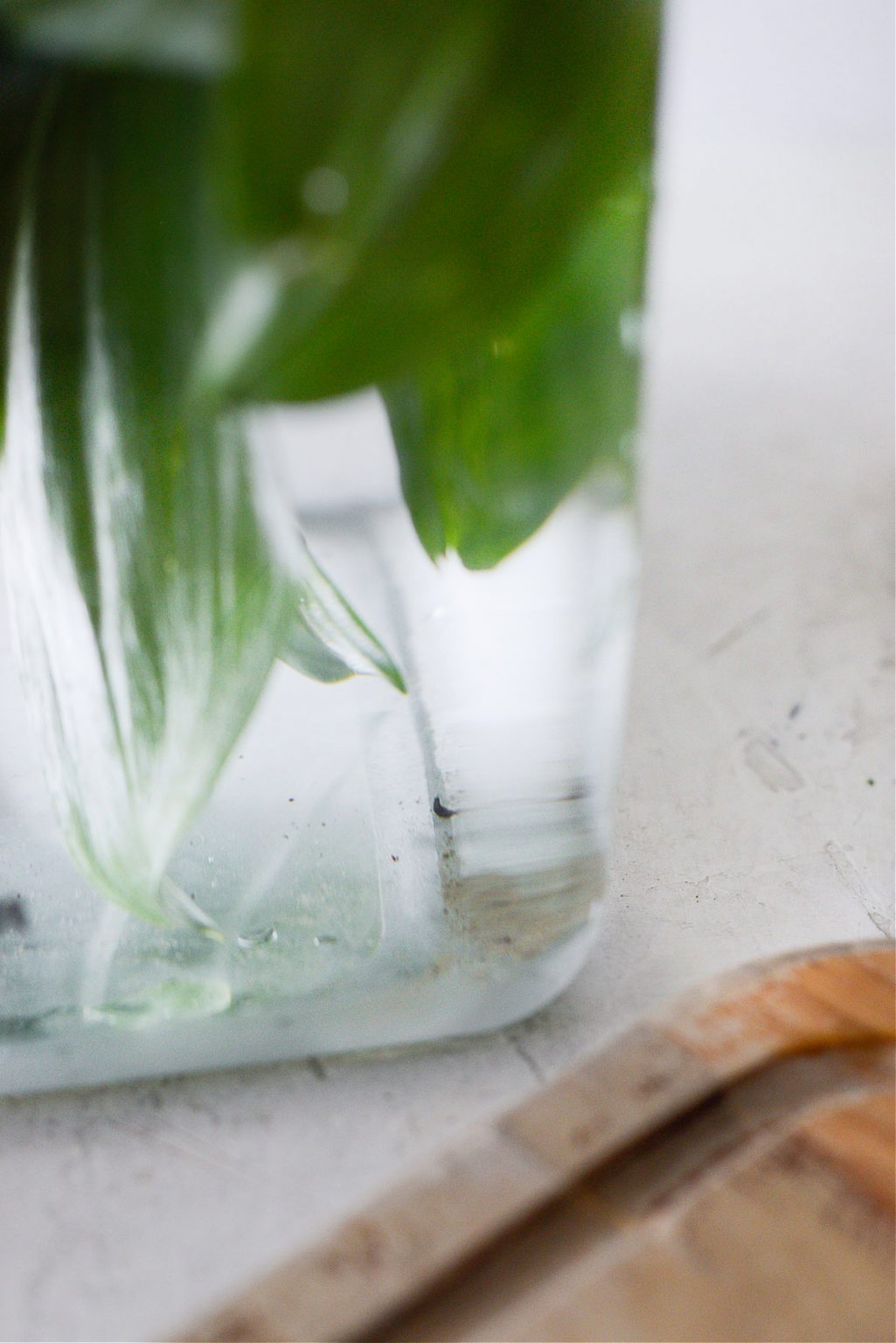 Grilled Ramps Recipe Simply Scratch