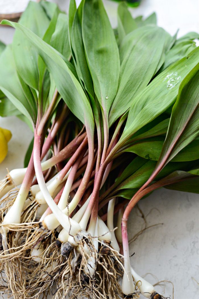 ramps with roots