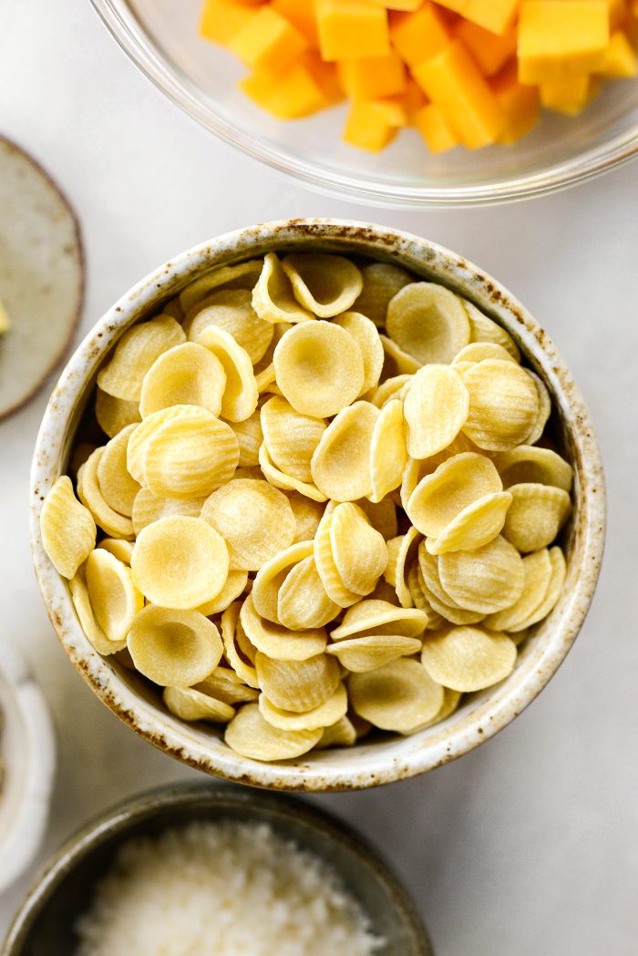 orecchiette pasta